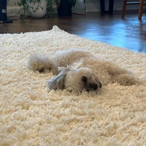 🌸🌸MEET YOUR POSHER🌸🌸